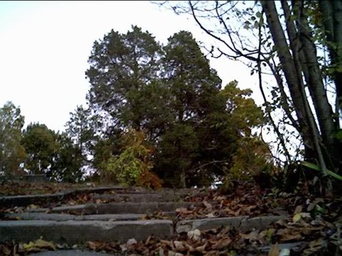 unexplained-events: One Hundred Steps CemeteryThis mysterious cemetery is northwest of Brazil, India