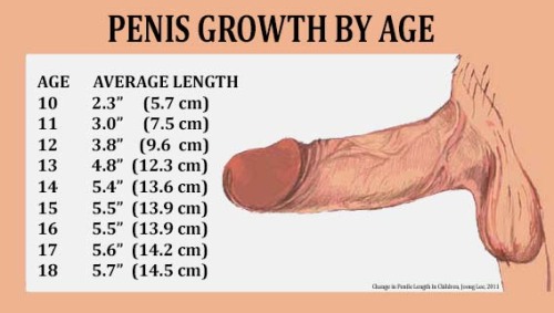 Mine is:11cm = 4,3 InchThat means 98 percent of men have a bigger cock than I have! GREAT!