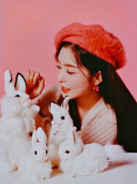 baeechu:  irene - season greetings 2019 💖