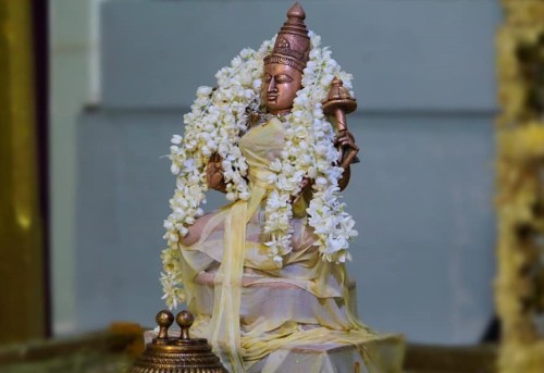 Thoopul Sri Maragathavalli Thayar (Lakshmi) ritual bath, Tamil Nadu.