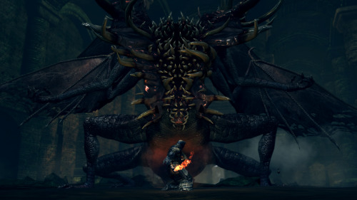 thewitchcraftreader:  Through hell and high water… Incredible high resolution Dark Souls screenshots by Dead End Thrills.