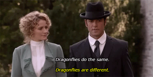 moreofaspectacle:  DRAGONFLIES ARE DIFFERENT.  