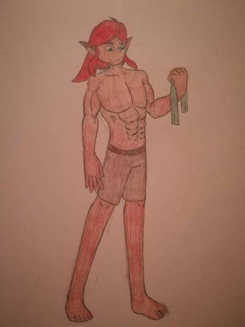 This Is For Reference For What Gerudo Link Looks Like In The Fanfic I Am Writing If You Want To See It