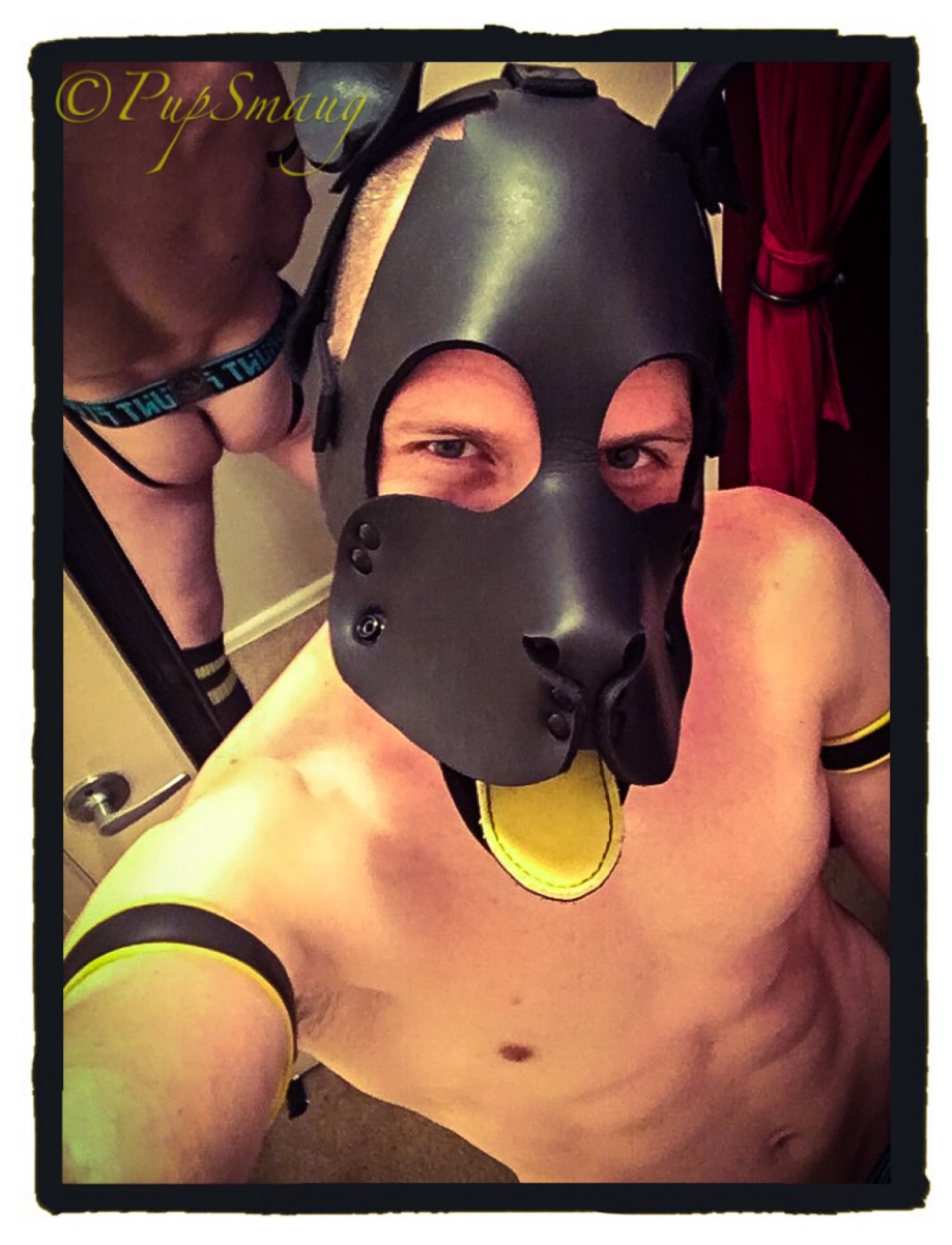 pupsmaug:  🐶W00f! Happy New Year Everyone!🐕Thanks for all your support, pets,