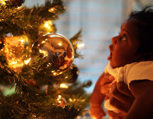 saybrah: Omere seeing a Christmas tree for the first time.