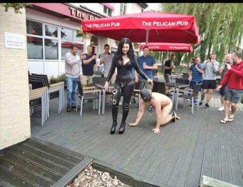 gynatrix: My slave lives in fear of the day I take him out in public like this.   I haven&