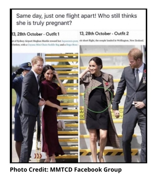Meghan markle surrogate