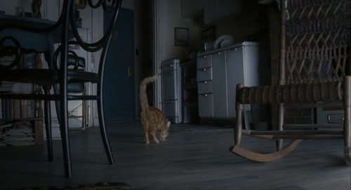 cinemawithoutpeople: Cinema without people: Inside Llewyn Davis (first pass, with cat) (2013, Joel and Ethan Coen, dir.)