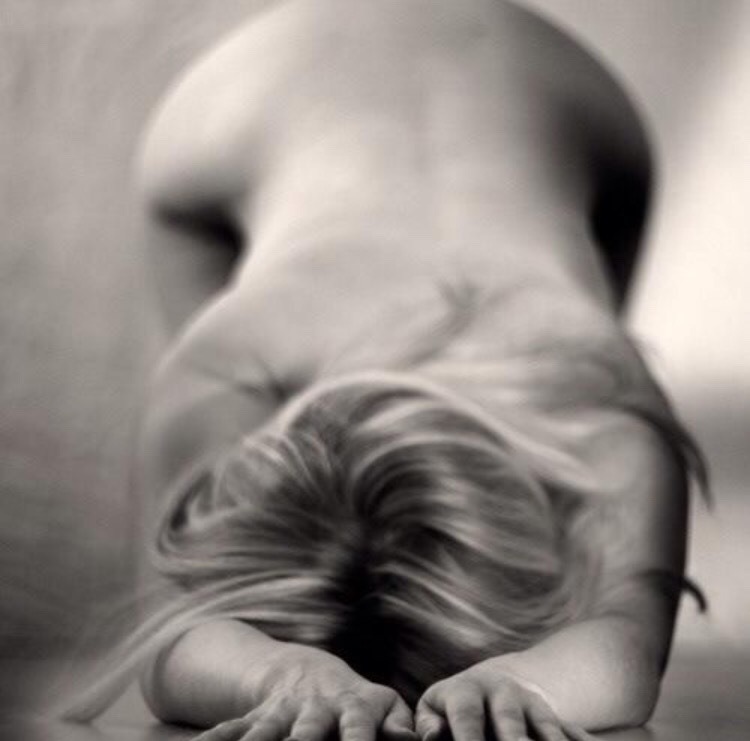 Good girl, put those holes on display so I can crouch down and give you your inspection