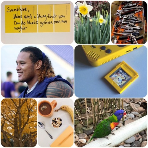 garbage-empire:Voltron college AU moodboard - HunkHunk is a double major in botany and physics! Him 