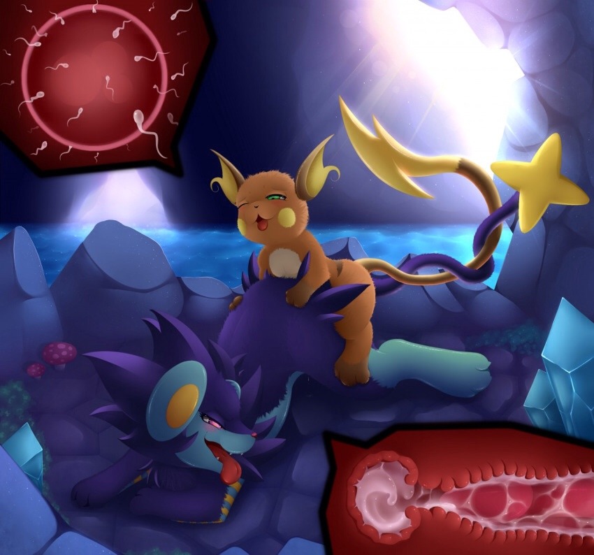 thepokemonfetish:  Best of Raichu pt. 2/2