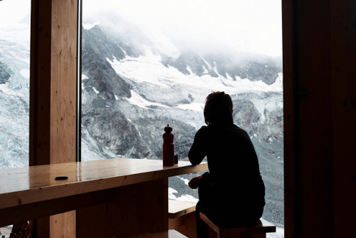 asimplekindofperson:  zptp:  Ali Scott  Quality Vintage/Nature Blog  Been away for while, ill be active once again soon! (: 