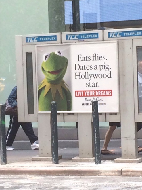 reallylameblog:  But that’s none of my business
