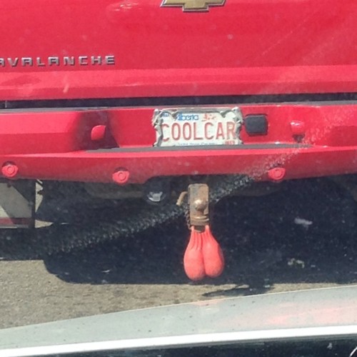 Literally nuts about his cool car #nuts #balls #trucknuts #yeg #walkingdeadmonton