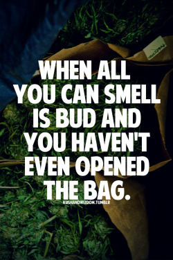 kushandwizdom:  More picture quotes here