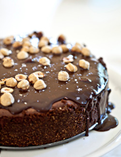 fullcravings:  Dark Chocolate Cheesecake with Hazelnuts  unf