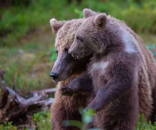 Look Mom… by Mario Nonaka