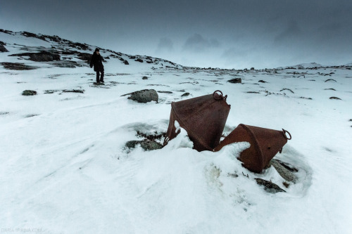 Kola Peninsula, January 2014.© Daria Spirina