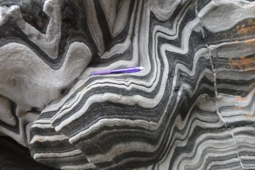 didyoujustlickme-:Some of the coolest localized fold structures out there! Flinders Chase National P