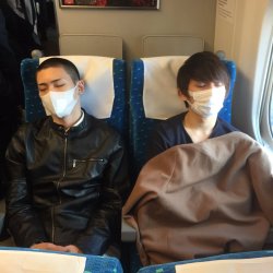 @kazuma093Homebound bullet train.  Kouhei and Shouhei Â were cutely sleeping side-by-side so I took a photo of it.Â 