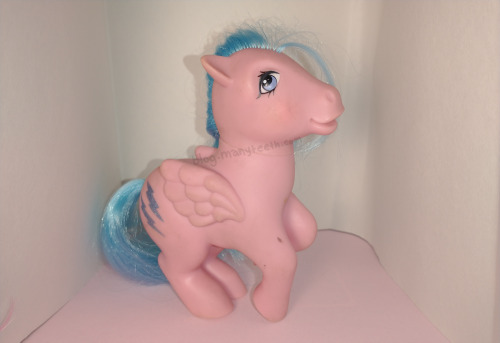 thrift store ponies!!i wanted to catalog all of my MLP figures, all of which i’ve found at var