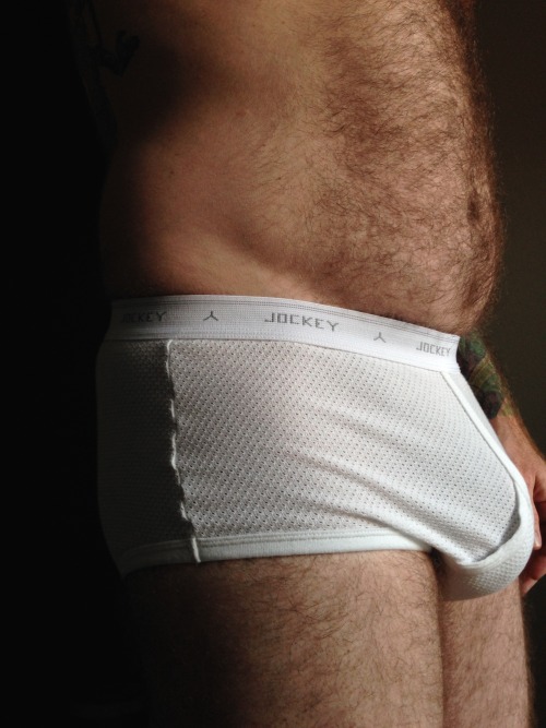 pupsunderwearpics: Pup in New Mesh Jockey Briefs from New Zealand