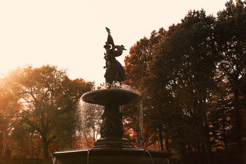 Last weekend in Central Park. by Emma Canfield