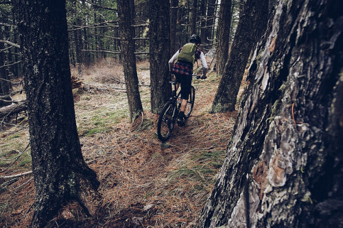 fuckyeahmountainbiking: Splitting Ponderosa on Flickr.
