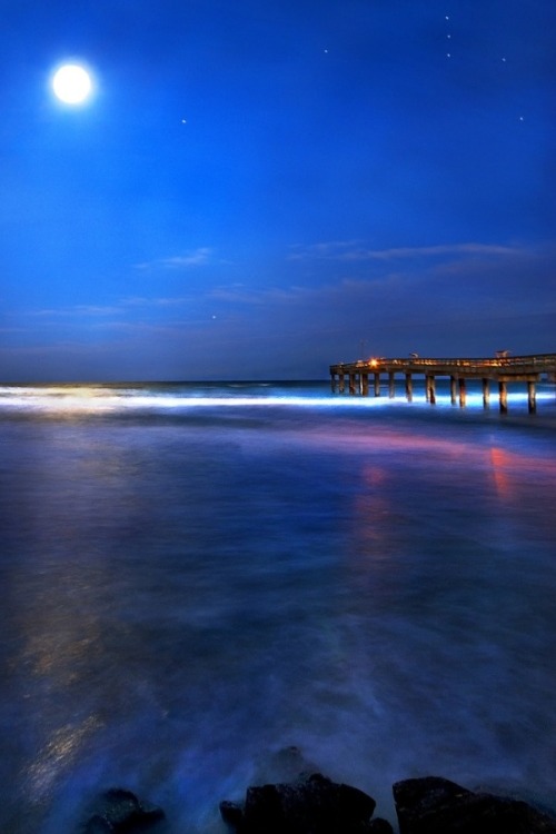 XXX robert-dcosta:  Jan Beach Moon And Orion photo