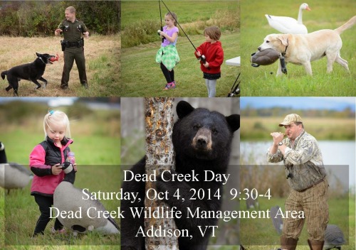 If you enjoy wildlife be sure to make plans to attend the annual Dead Creek Wildlife Day in Addison, VT on Saturday, October 4.