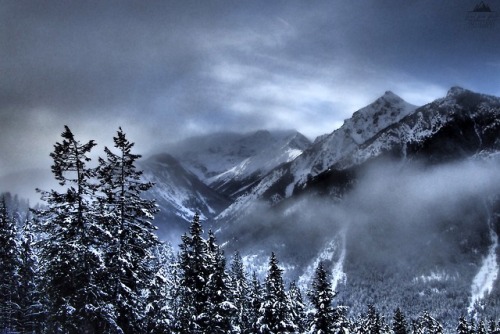 greatwideworldphoto:Frosty | Original by Great Wide World PhotographyTaken in British Columbia, Cana