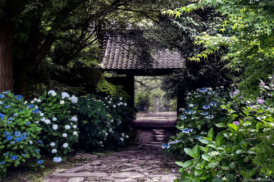 neva-undastood:  sixpenceee:  Pictures of Japan during the rainy season look like