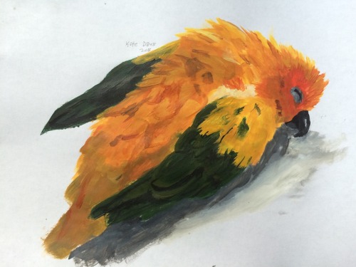 Ive Been Practicing Trying To Loosen Up In Painting, So I Did Some Birds And Limited Myself To An Hour.