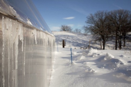 solarpunk-aesthetic:Deep Winter GreenhouseParadox Farm, University of MinnesotaThese greenhouses are