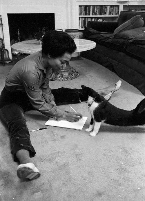 twixnmix:Eartha Kitt photographed by Ben Martin at home, 1957.