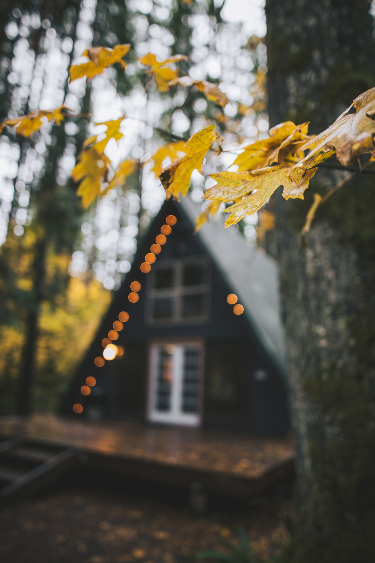 the-cozy-room:  ☼ coziest blog on tumblr ☼