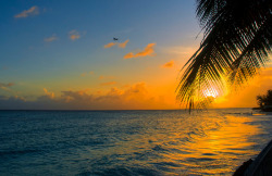 best-lovequotes:  Via 10 Beautiful Sunset Around The World - Barbados