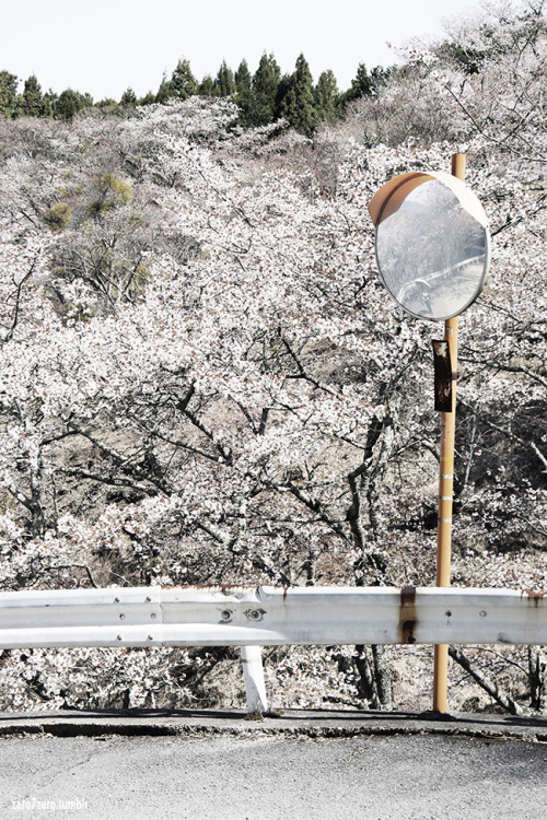 Yoshino, Japan