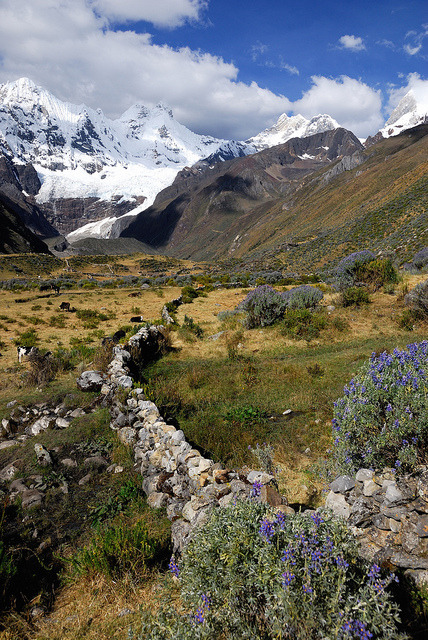 Decent to Jahuacocha Lake in Cordillera Huayhuash, Peru (by indomitablemachine).