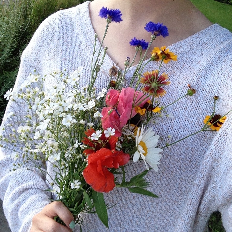 translucen:  collecting flowers for mom insta: @fa.wn 