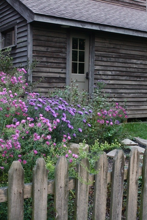 Cottage Life