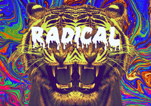 tr1ppy-j:  “Radical” -Ghandi 