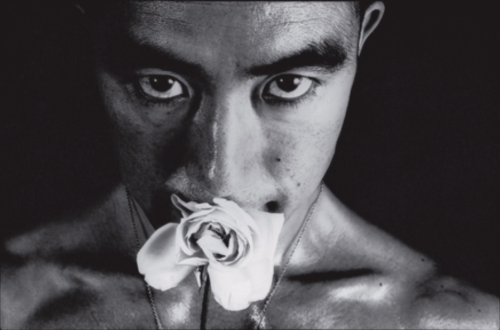 magictransistor:Eikoh Hosoe. Ordeal by Roses (Barakei), with Yukio Mishima. 1961.