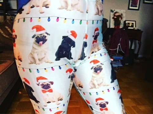 New Christmas tights!! Best gift ever thanks to @caseyerin12 #christmas #dogmomAF #bestgiftever #dog