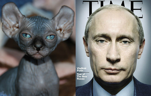 Viens Comprendre La Russie Avec Moi Il Y A 60 Ans Viens Comprendre La Russie Avec Moi Il Y A 60 Ans