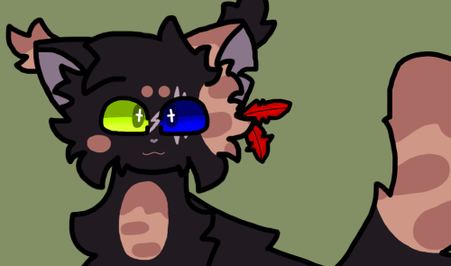 Some Of My Warrior Cat OCs! :D They're Part Of NightClan (my Fanmade Clan)