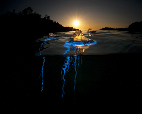 nevver:  Below the surface, Matty Smith