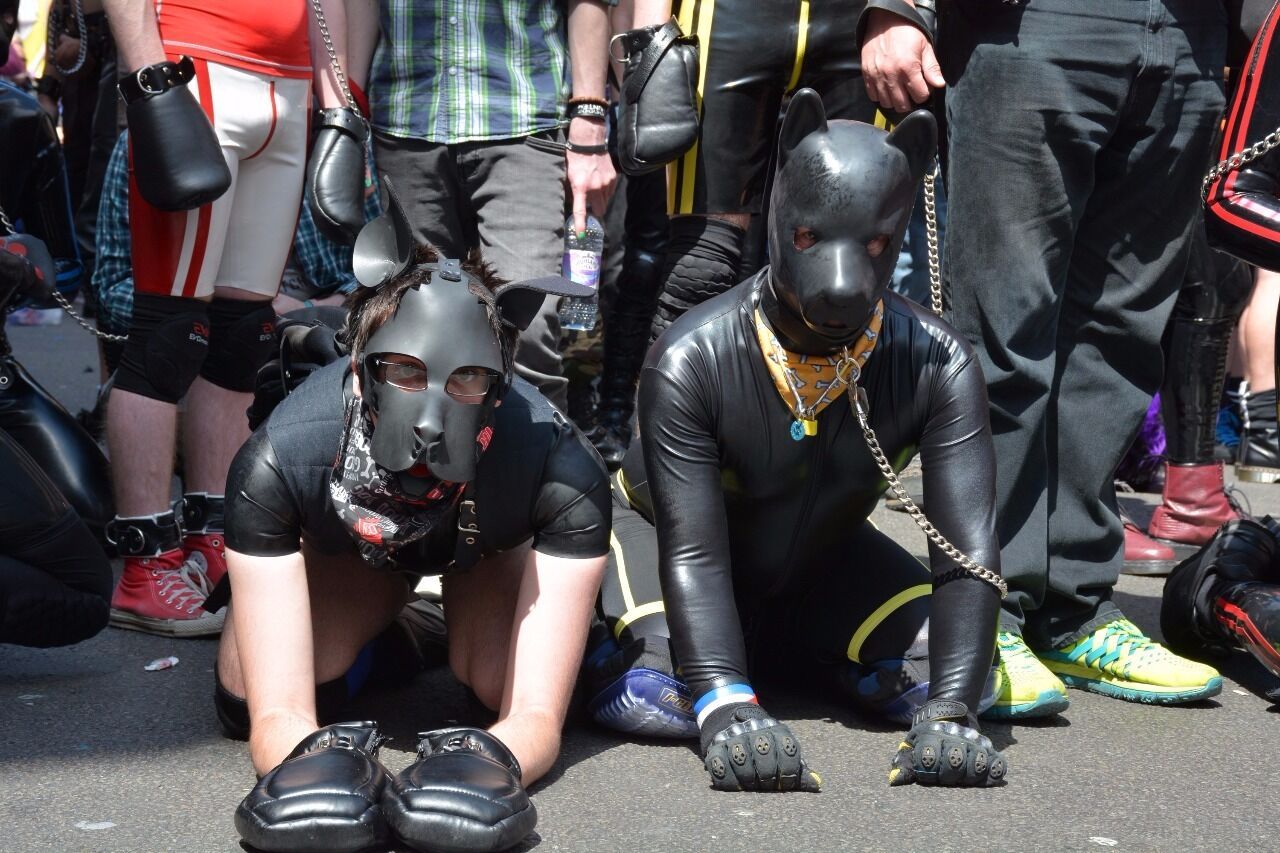 puppiesonladders:  Pups at London Pride 2015. photos by Archimedes Alpha (x2), Charles