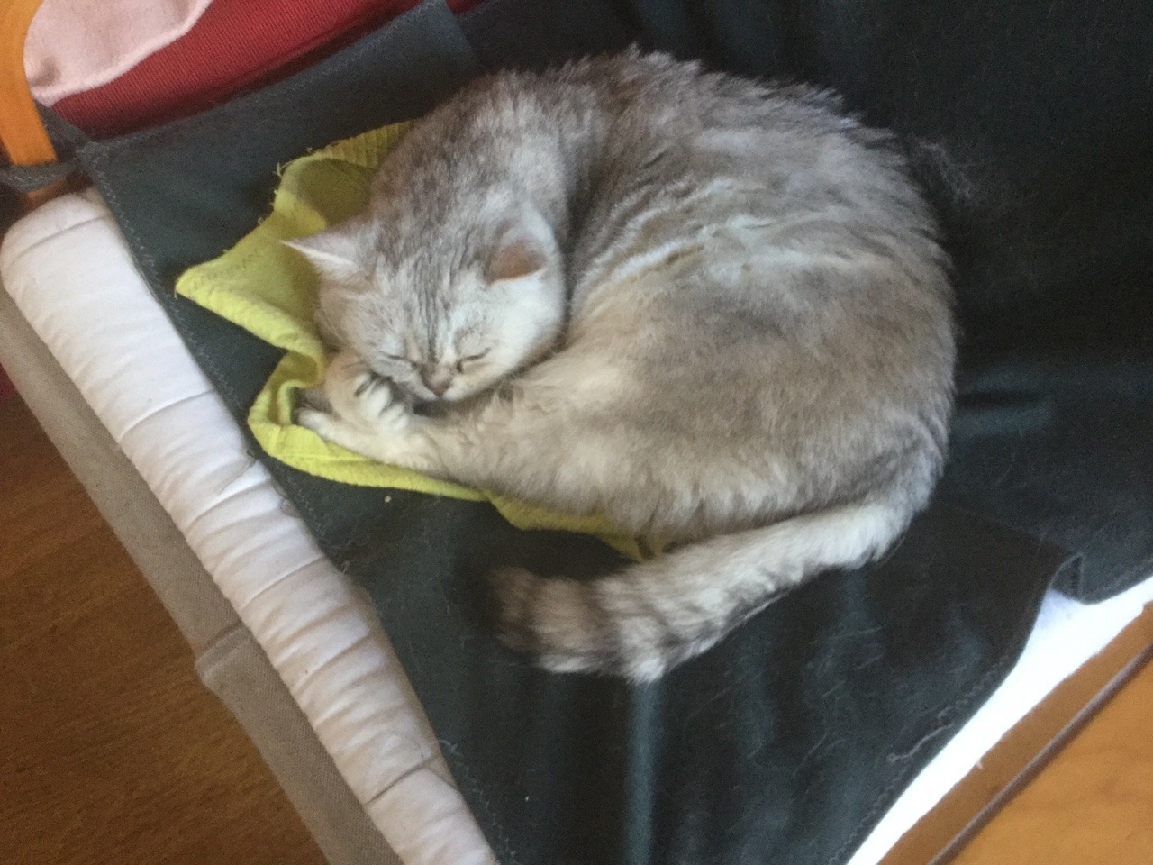 omegastation:This is the picture I took of her before leaving last time, and I meant