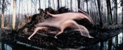 razorshapes:Frédéric Fontenoy - Métamorphose